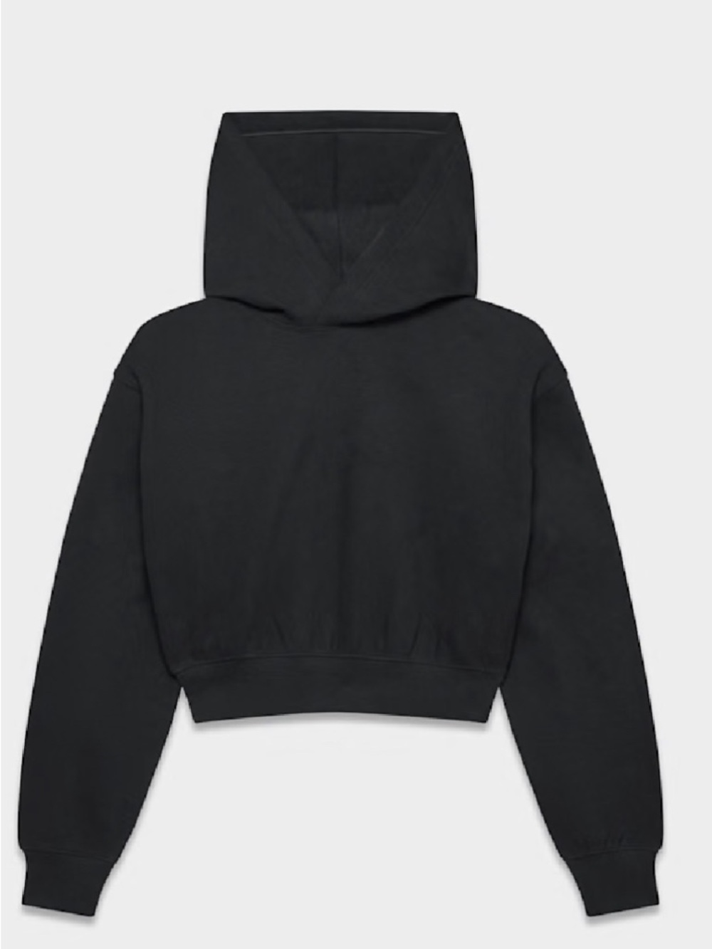 Aritzia Cozy Sweatfleece Perfect Crop Hoodie size L